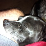 Sleeping Peanut